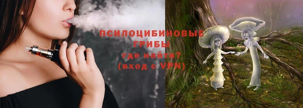 хмурый Сосновоборск