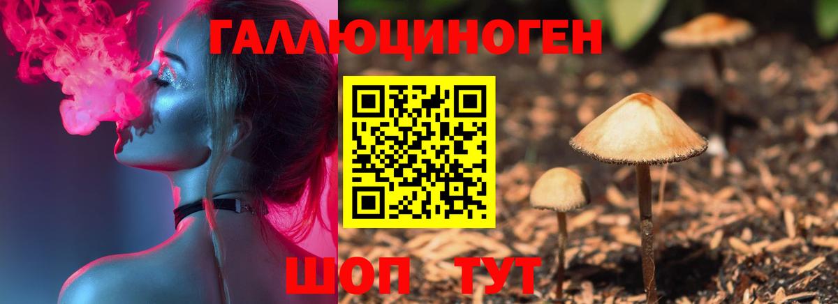 Вольск  Псилоцибиновые грибы MAGIC MUSHROOMS  Псилоцибиновые грибы мухоморы  как найти закладки  Вход с VPN 
