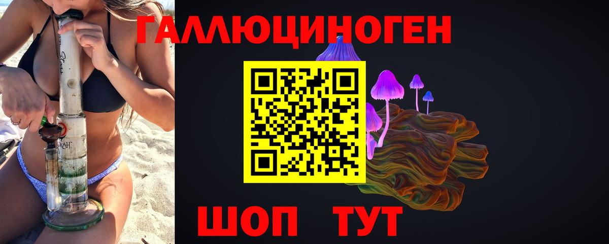 Псилоцибиновые грибы Cubensis Вольск